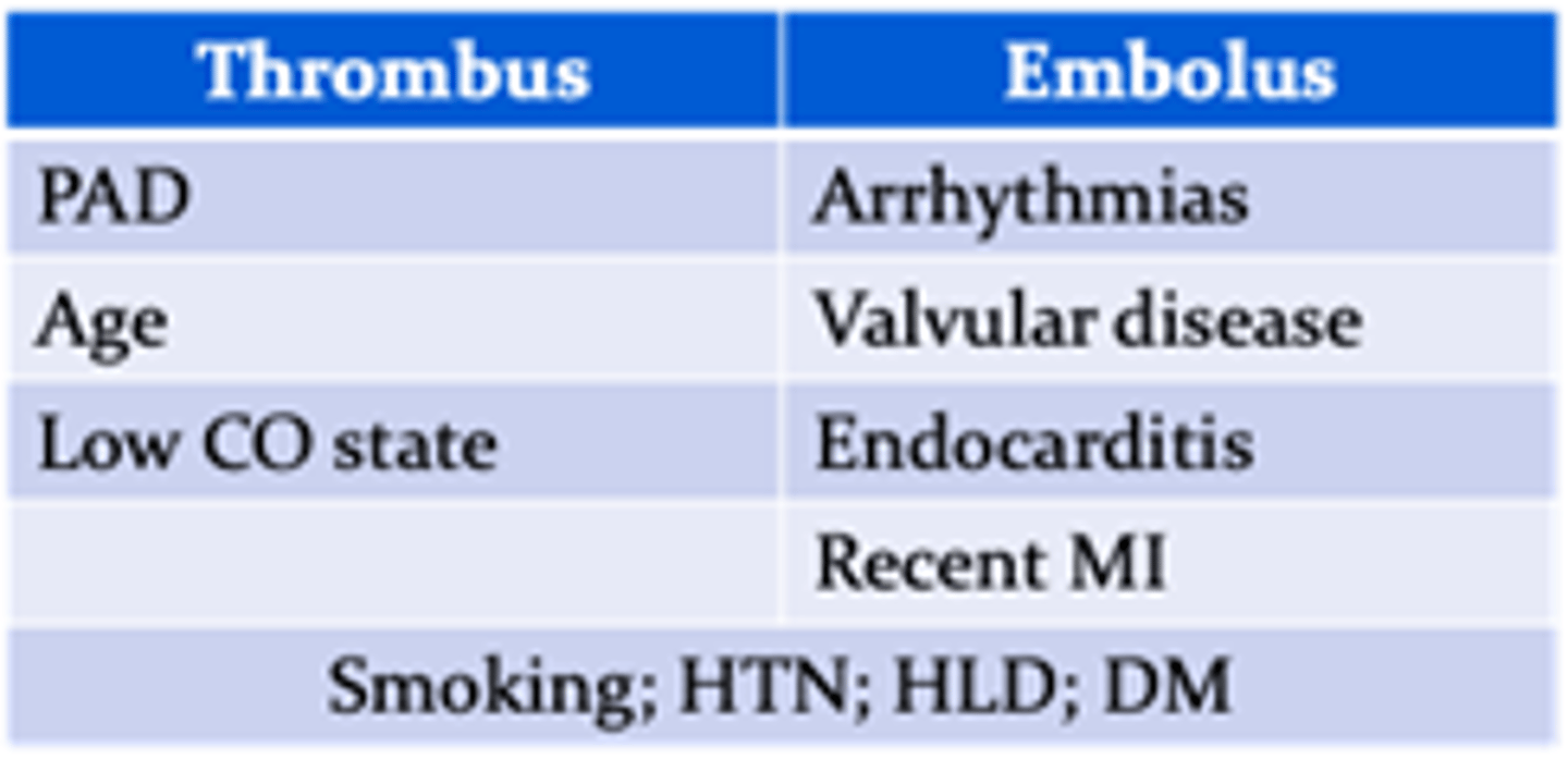 <p>Smoking, HTN, HLD, DM</p>