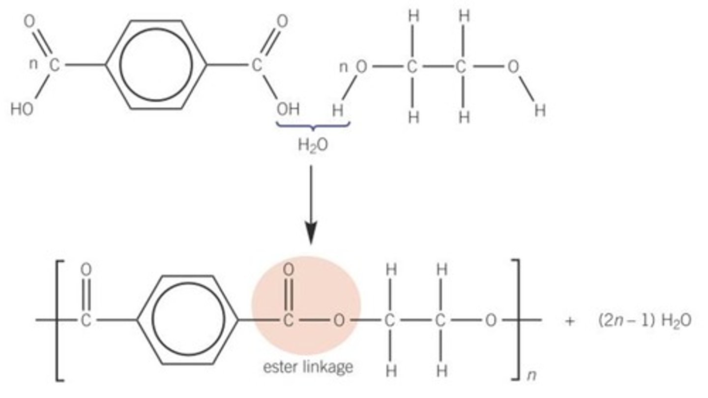 <p>One monomer is a diol<br>One monomer is a dicarboxylic acid</p>