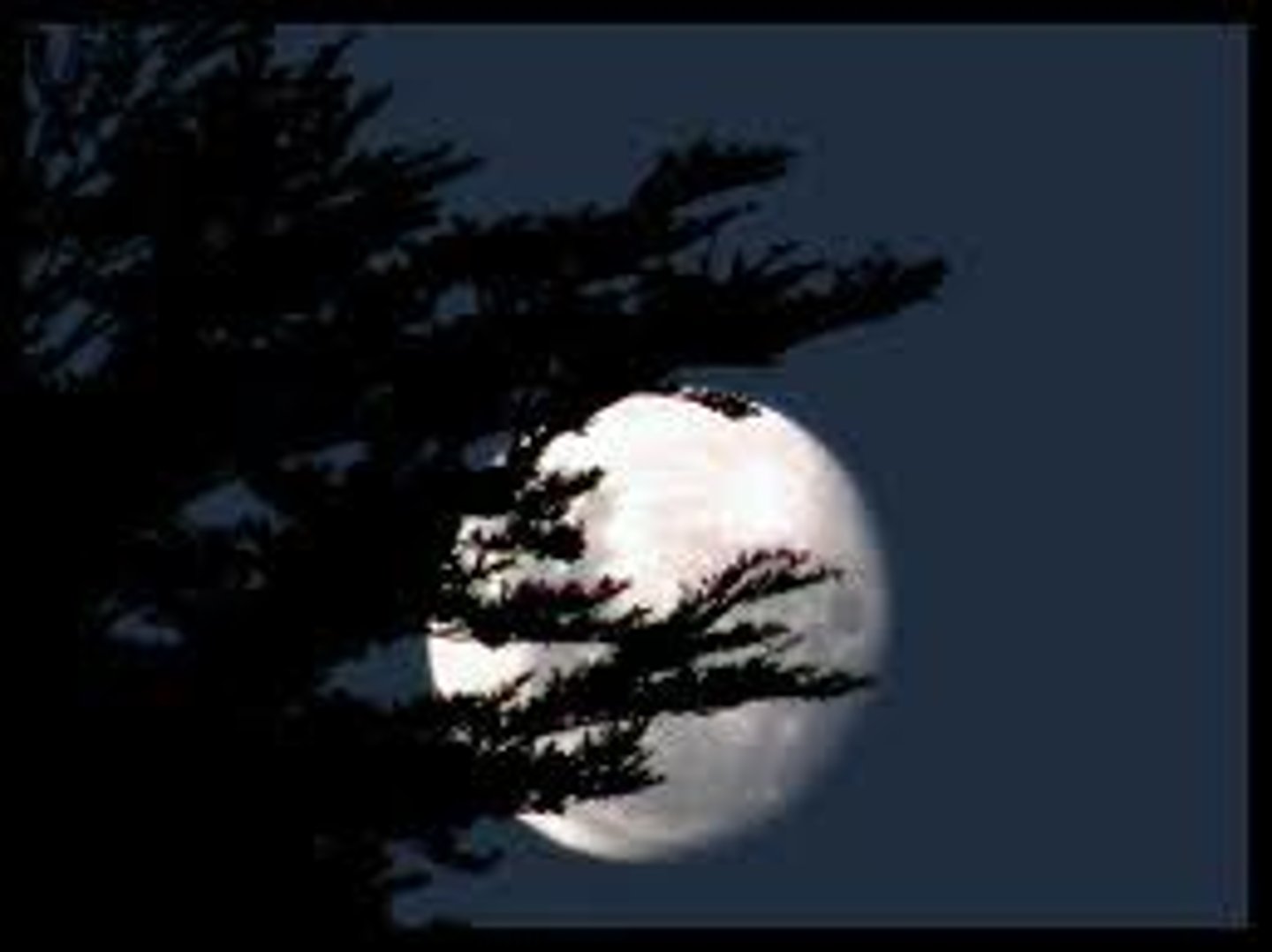 <p>sees the moon</p>