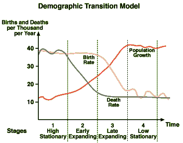 <p>High birth and death rates, low population growth</p>