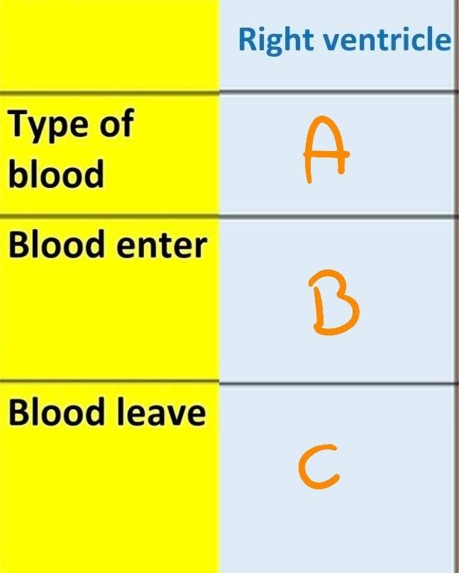 <p>Answer the following questions</p>