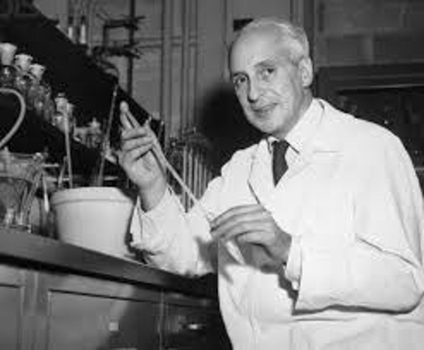 <p>1956 became citizen, 1959 Nobel Prize in Physiology and Medicine</p>