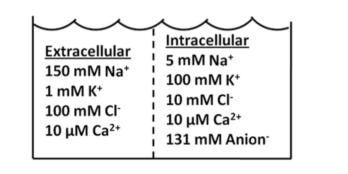 <p>Ion concentrations in the ICF and ECF are given below. Opening a ligand-gated channel with equal permeability to which of these two ions will create a membrane</p><p>potential of approximately -15 mV?</p><p>A) Na+ and Ca++</p><p>B) K+ and Ca++</p><p>C) Cl- and K+</p><p>D) Na+ and ClE) K+ and Na+</p><p>K+ and Na+</p>