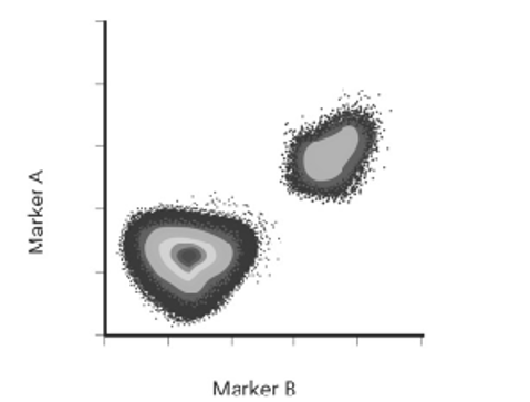 <p>In the flow cytometry dot plot below, there are two distinct clusters of dots in a quadrant plot of fluorescence marker A versus fluorescence marker B. What do they suggest?</p><p>A. Two distinct cell populations with different fluorescence characteristics</p><p>B. Variability in cell size</p><p>C. Differences in cell granularity</p><p>D. Experimental error or instrument malfunction</p>