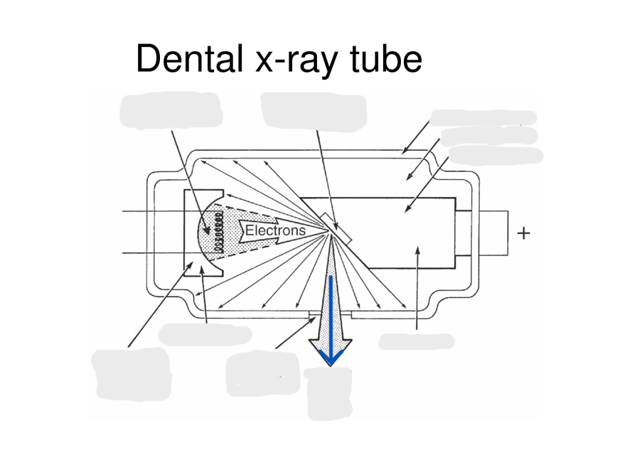 <p>useful xray beam</p>