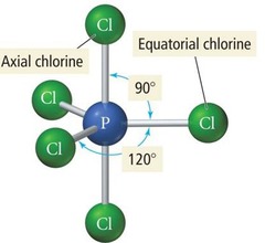 <p>Trigonal Bipyramidal Geometry</p>