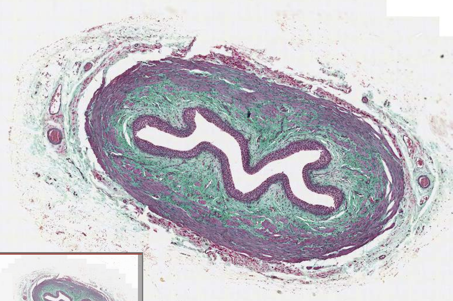 <p>What is this?</p>