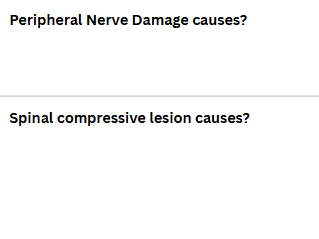 <p>Sensation & Pain</p>