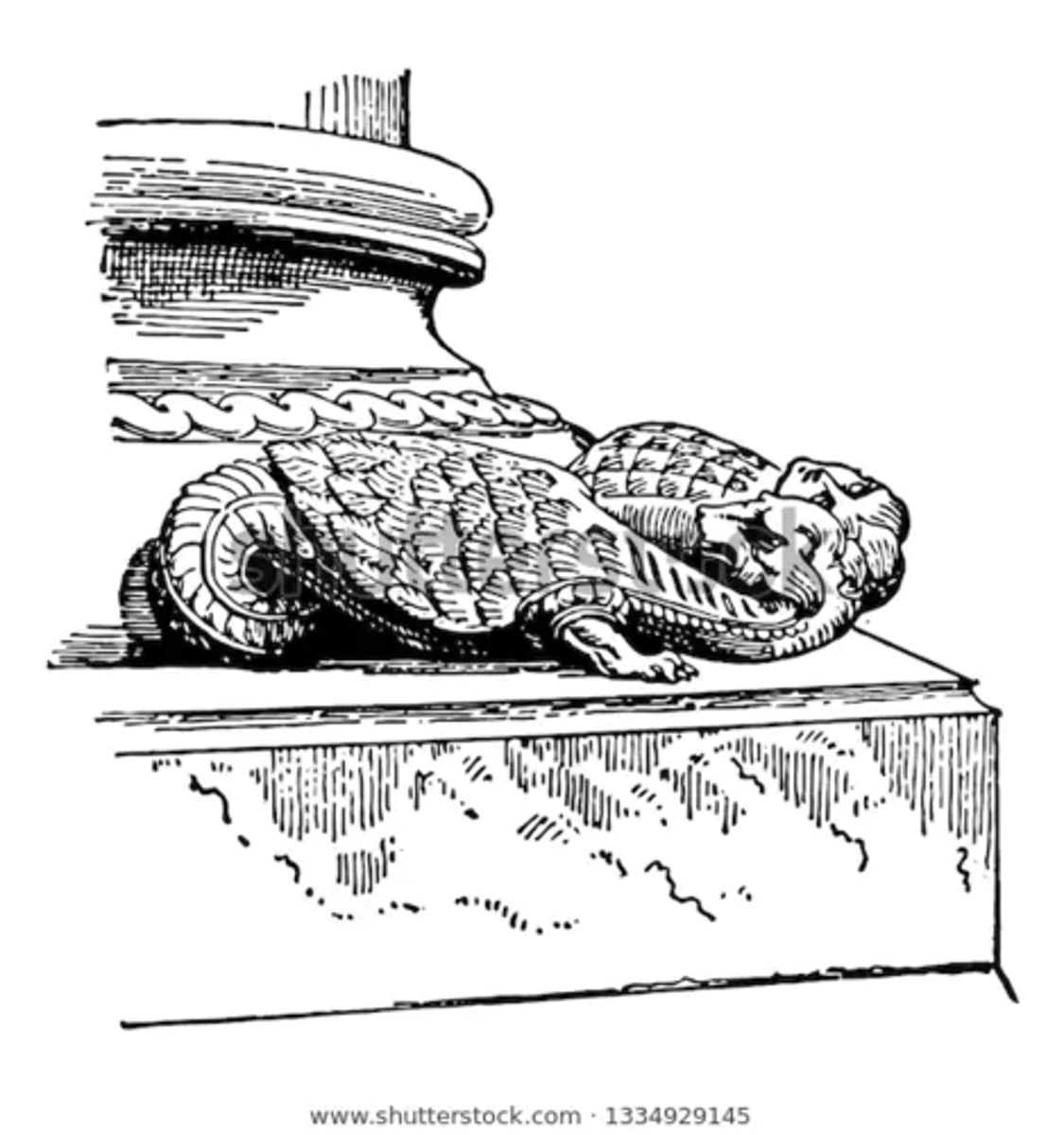 <p>an ornament projecting from the round base of a column toward a corner of a square or polygonal plinth; also called a "spur"</p>