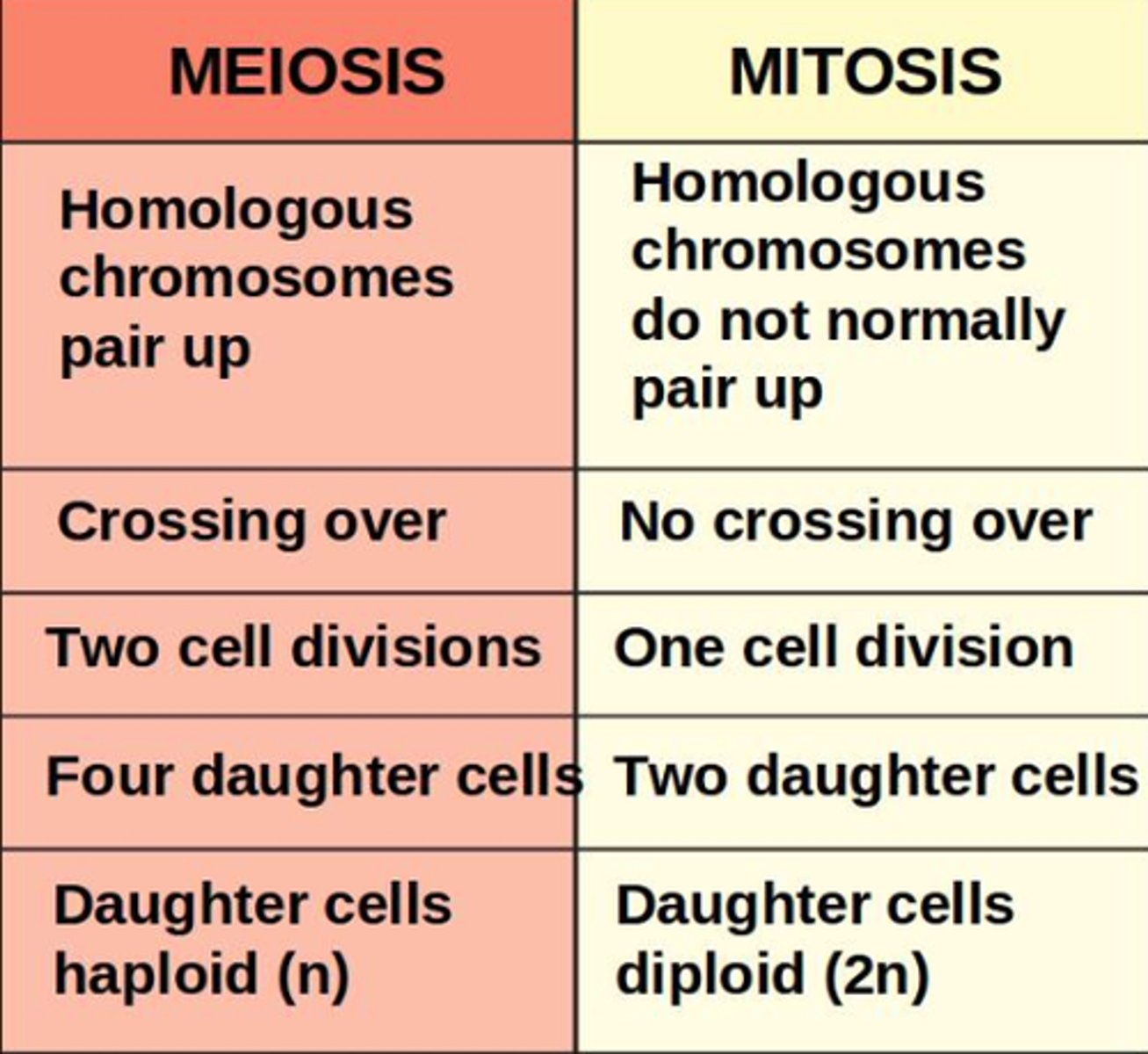 <p>- One division in mitosis, two divisions in meiosis</p><p>- Daughter cells genetically identical in mitosis, daughter cells genetically different in meiosis</p><p>- Two cells produced in mitosis, four cells produced in meiosis - Diploid to diploid in mitosis, diploid to haploid in meiosis</p><p>- Separation of homologous chromosomes only in meiosis</p><p>- Crossing over only in meiosis</p><p>- Independent segregation only in meiosis</p>
