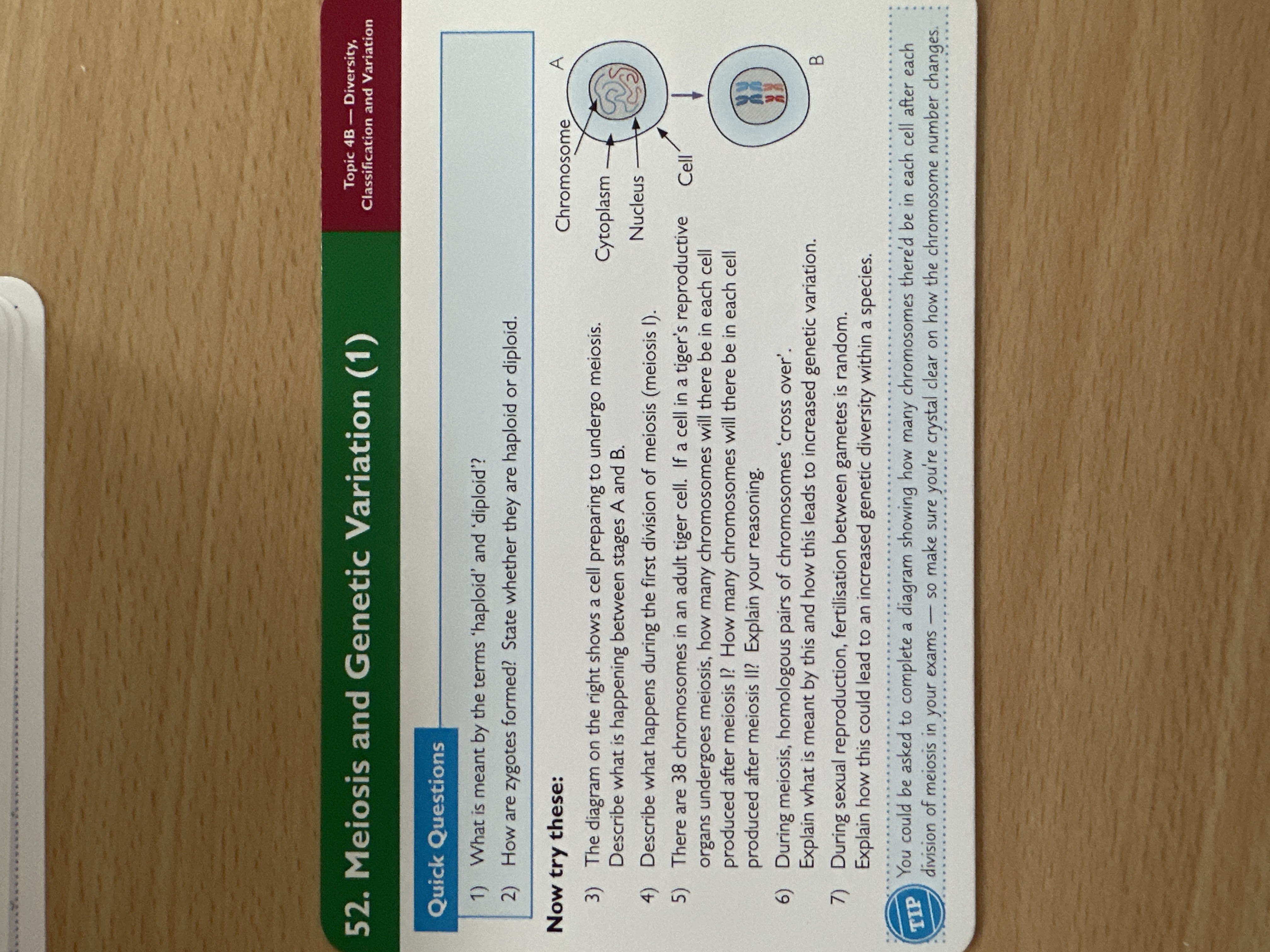 Meiosis and genetic variation 