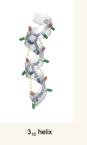 <p>Less Common Helices</p>