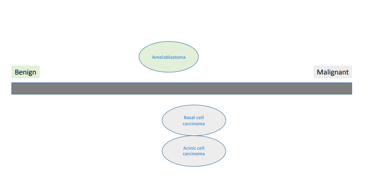 <ul><li><p>because they don’t metastasise- but they may require more surgery than atypical benign tumour </p></li><li><p>consider benign and malignant to be a spectrum </p></li><li><p>two purple examples are malignant but at the benign end as they can metastasise but they rarely do </p></li></ul><p></p>