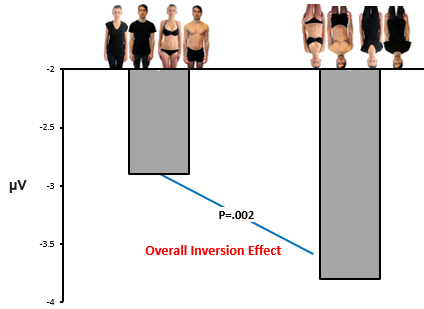 <p>Bernard et al (2019) Exp1</p>