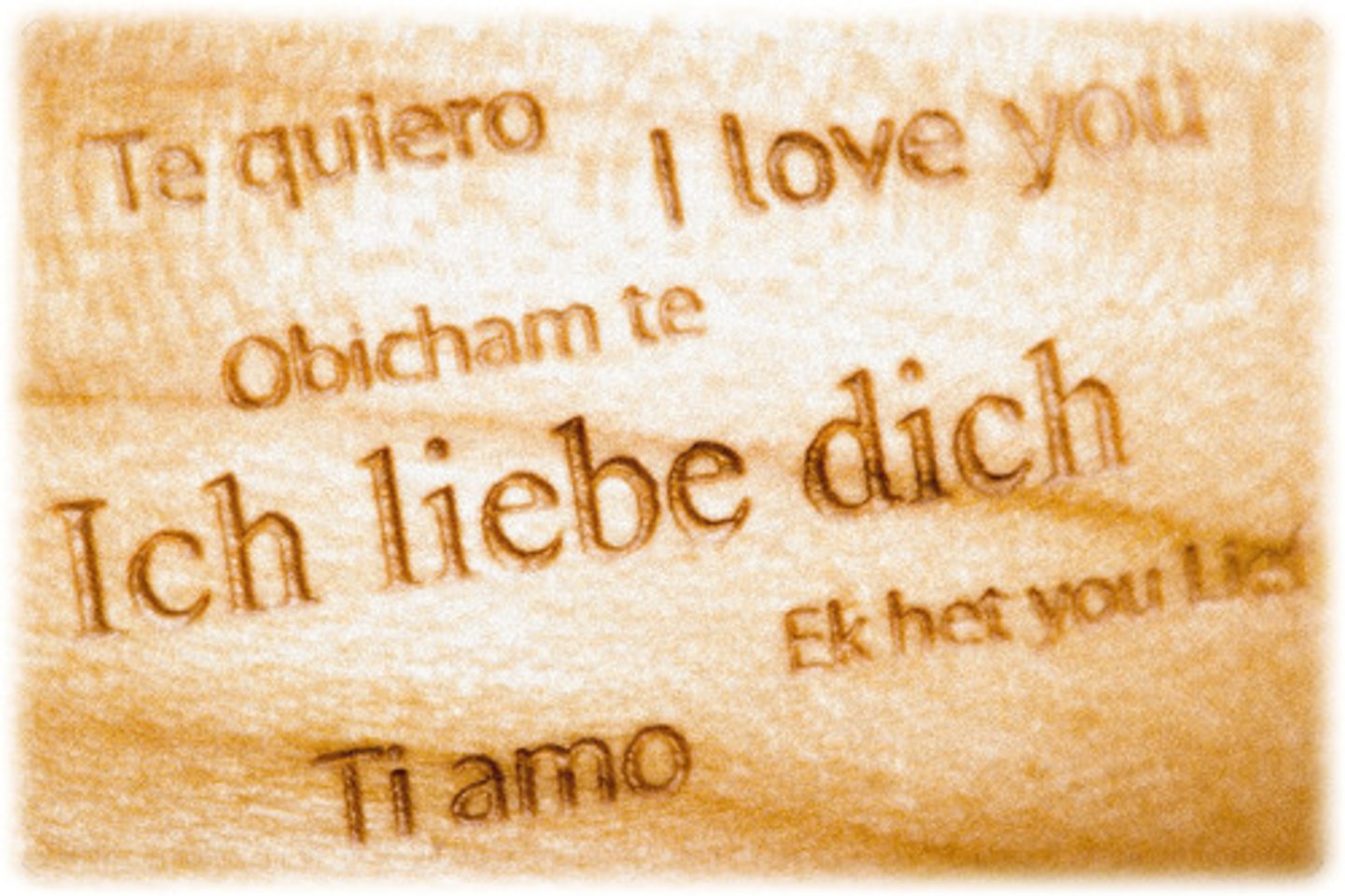 <p>foreign language</p>