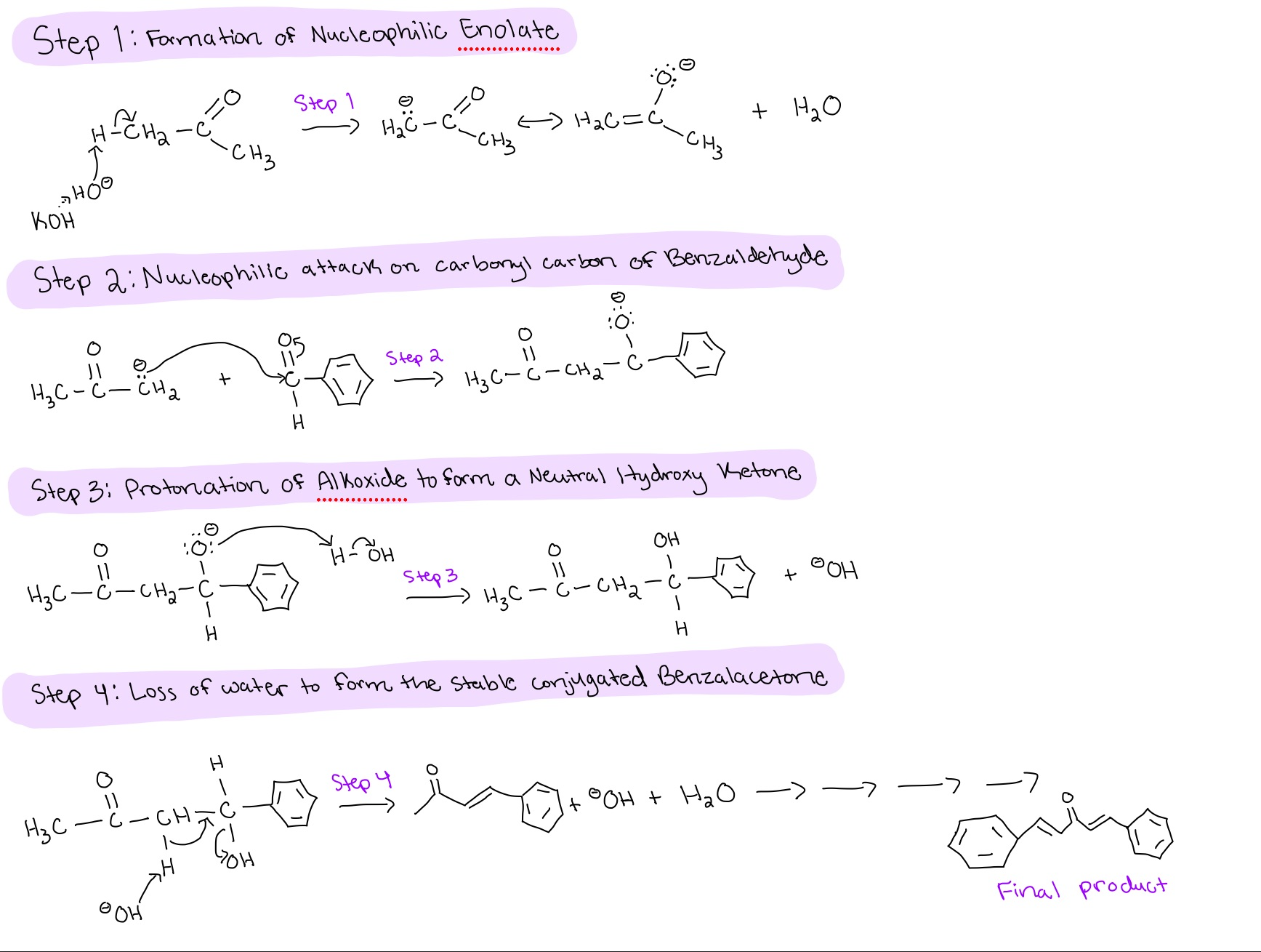 knowt flashcard image