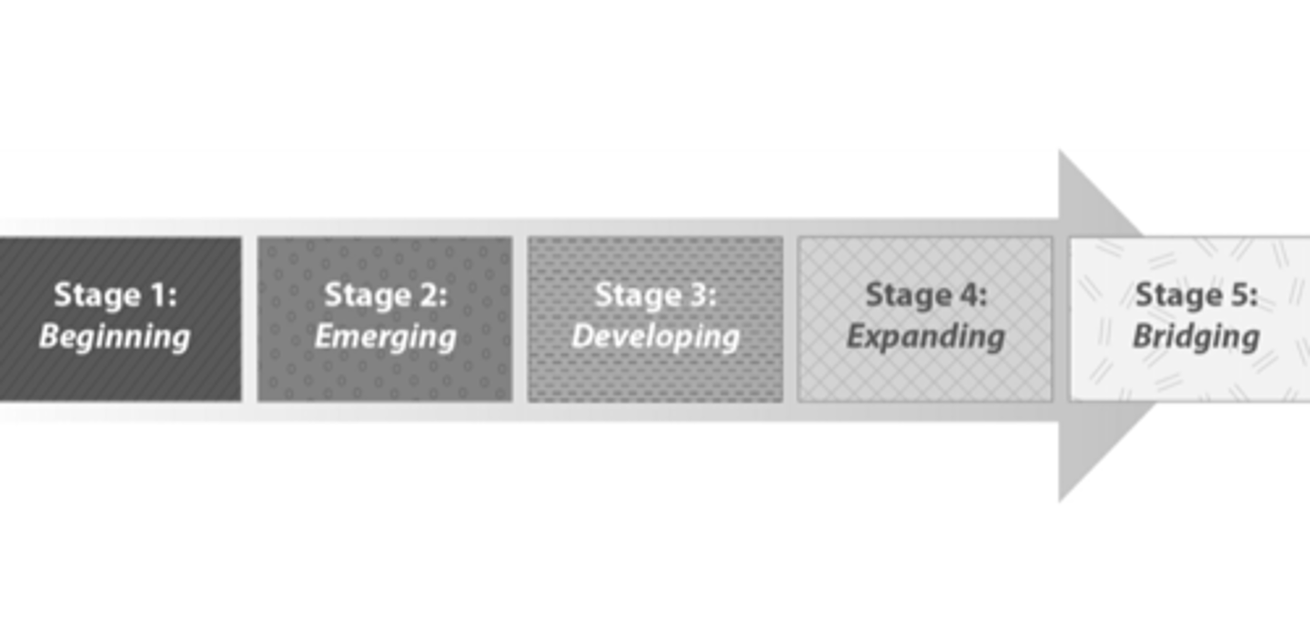 <p>This is a student's ability to comprehend academic vocabulary in English. Part of stage five of second-language acquisition: Bridging. Even if students have achieved CALPS, they still need teacher support.</p>