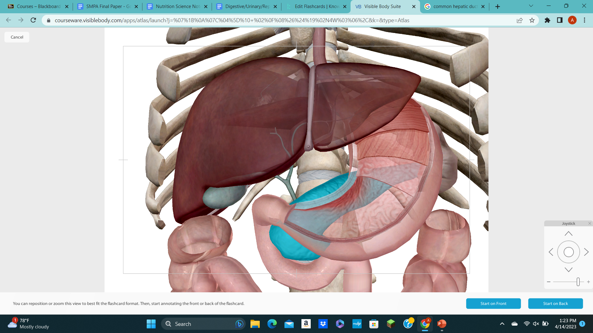 knowt flashcard image