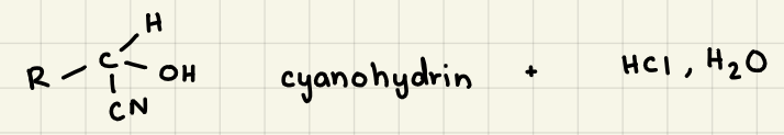 Cyanohydrin + HCl, H2O