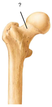 <p>Nom et caractéristiques de ce relief ?</p>