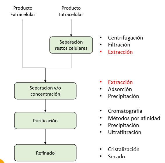 <ul><li><p>Separación de restos celulares</p></li><li><p>Separación y/o concentración</p></li></ul><p></p>
