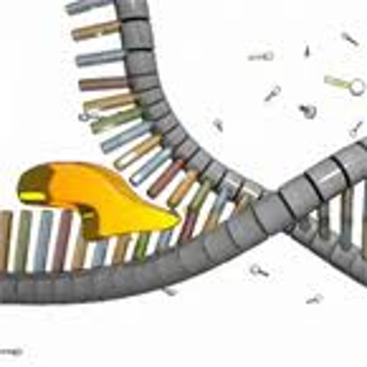 <p>an enzyme that "unzips" DNA by breaking the hydrogen bonds that hold the two strands together between the nitrogen bases</p>