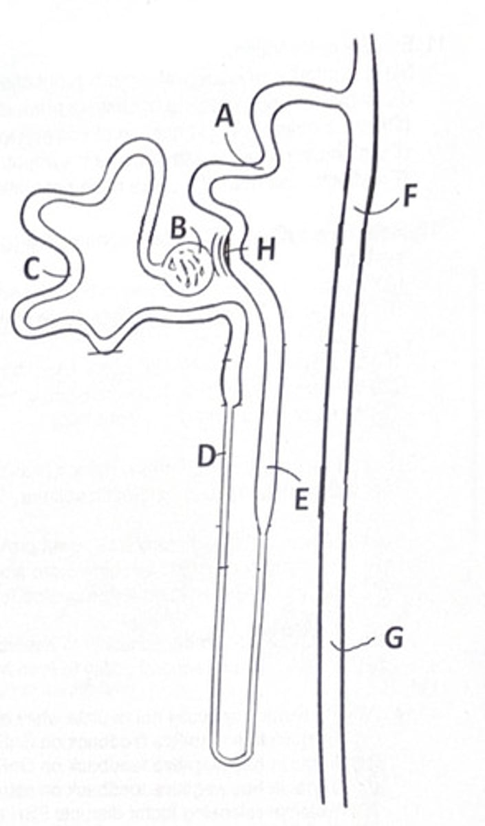 <p>Two of these</p>