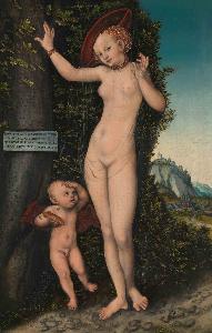 <p>Venus</p>