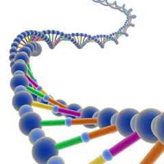 The study of living organisms and how they function.