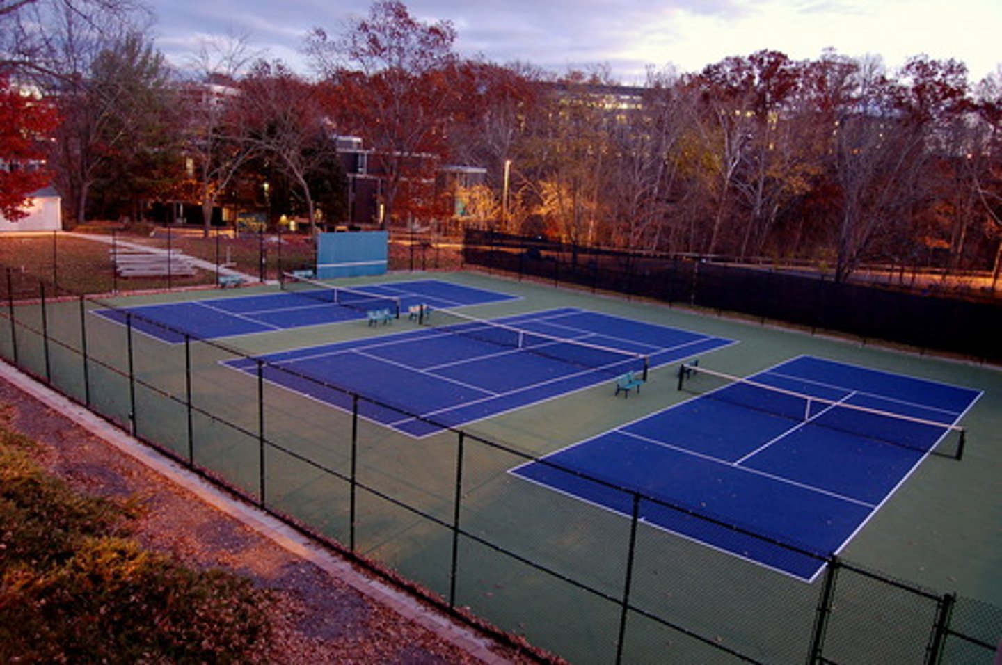 <p>the tennis court</p>