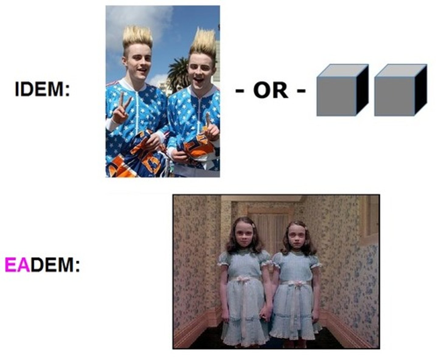 <p>the same (declined using is, ea, id + dem)</p>