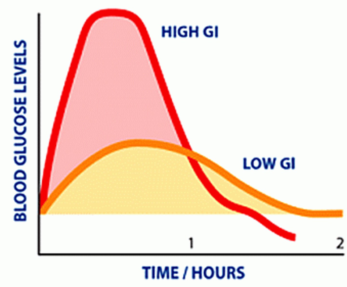 <p>- A measure of how quickly your blood glucose level rises after eating.</p>