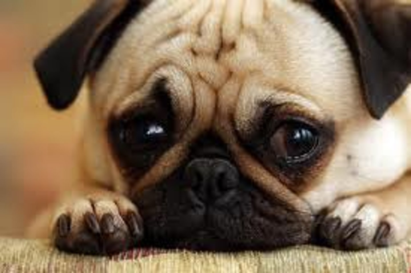 <p>What's wrong?</p>