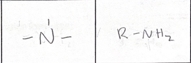 <p>which functional group</p>