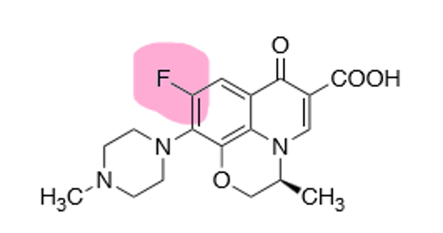 <p>Third generation quinolone, improved activity against gram (+), but still hits gram (-). Inhibits DNA gyrase and topoisomerase IV in bacterial DNA production. Rare hallucinations, delirium, and sezirues in patients also taking NSAIDs and theophylline, don't give under the age of 18 due to growing tendons, risk of tendon rupture main resistance is point mutations in A and B subunit of DNA gyrase, leading to decreased binding affinity of quinolones to DNA gyrase.</p>