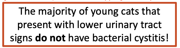 <p>False. These cats likely have either stones or FIC (feline idiopathic cystitis)</p>