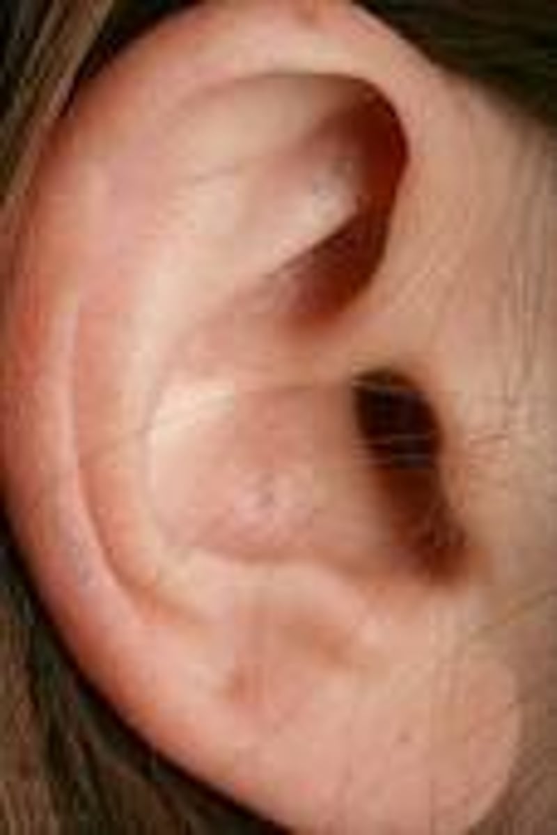 <p>ear</p>