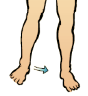 movement of a bone towards the midline of the body