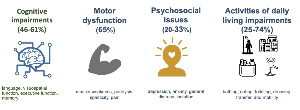 <p>Cognitive impairments (46-61%) </p><ul><li><p>language, visuospatial function, executive function, memory </p></li></ul><p>Motor dysfunction (65%) </p><ul><li><p>muscle weakness, paralysis, spasticity, pain</p></li></ul><p>Psychosocial issues (20-33%) </p><ul><li><p>depression, anxiety, general distress, isolation</p></li></ul><p>Activities of daily living impairments (25-74%)</p><ul><li><p>bathing, eating, toileting, dressing, transfer, and mobility </p></li></ul><p></p>