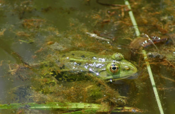 <p>Tieflagen ganze CH</p>
