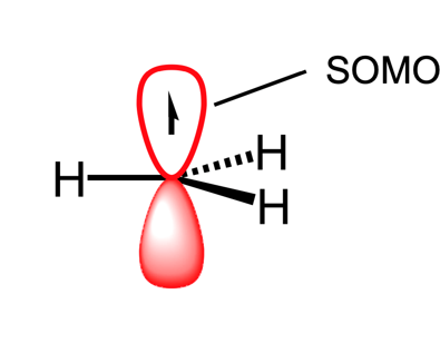 <p>a single occupied molecular orbital.</p>