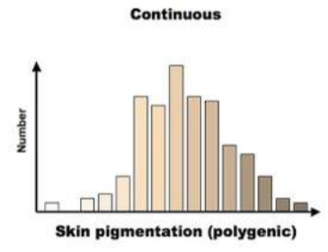 <p>When multiple genes influence a phenotype (a bell curve in a population is indicative of this)</p>