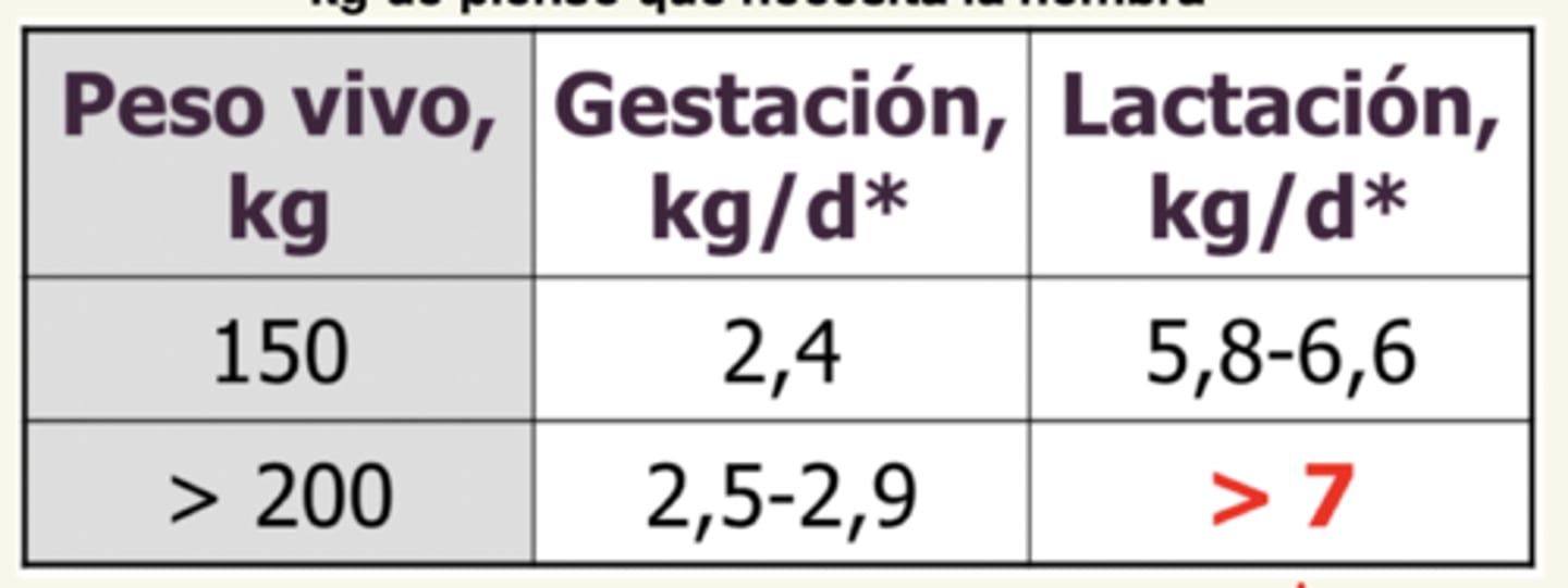 <p>>7</p><p>pero, no puede. por eso, come ad libitum para que llega al más cercano que puede. </p><p>si come <7 → pierde CC</p>
