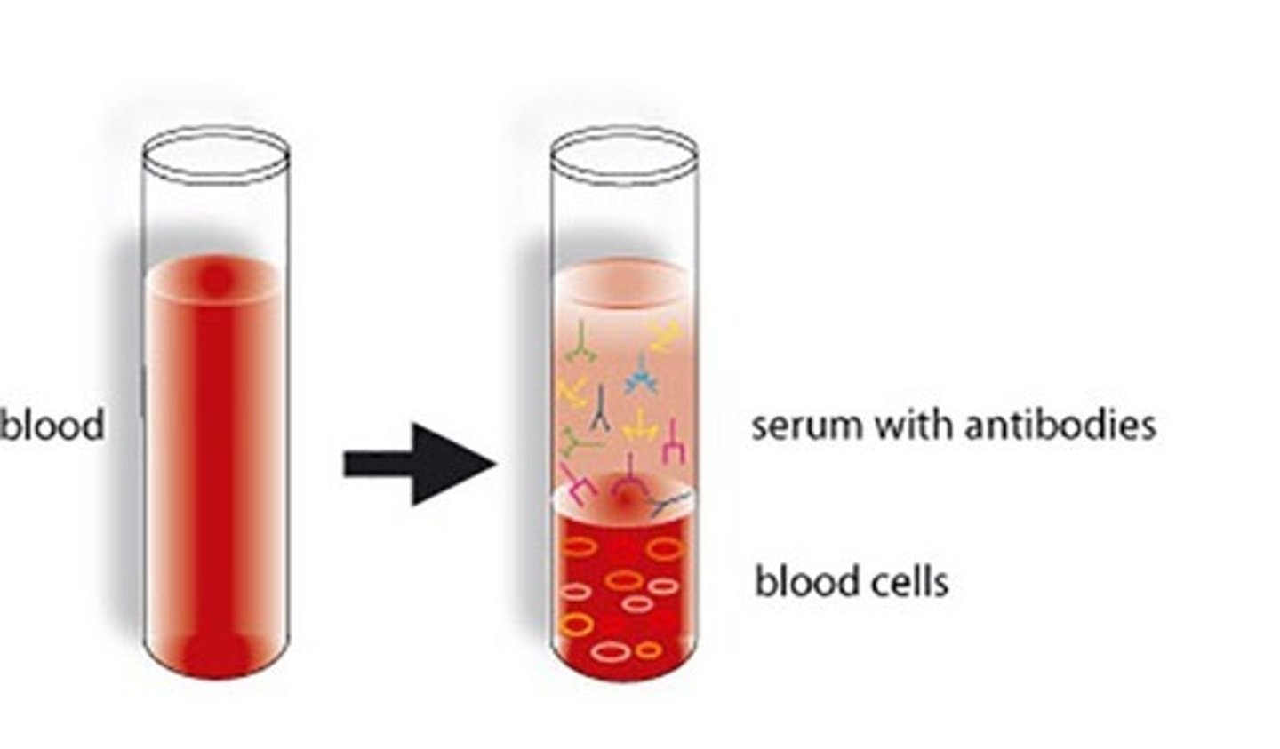 <p>plasma without clotting factors</p>