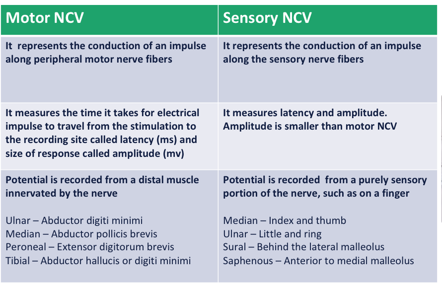 <p>Don’t memorize the muscles </p>