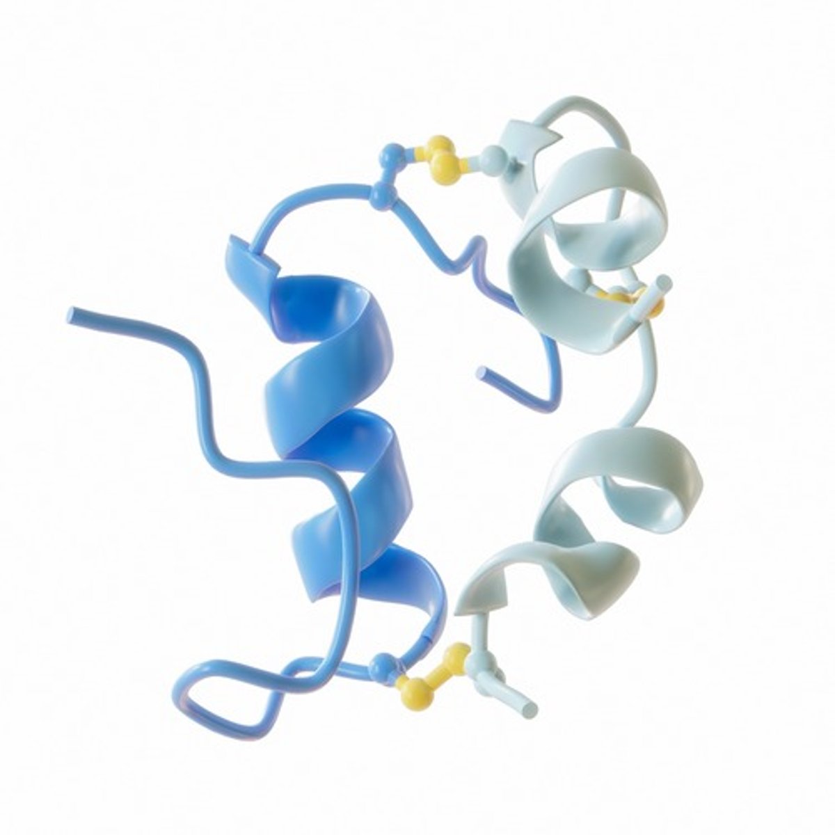 <p>Regular human insulin</p>