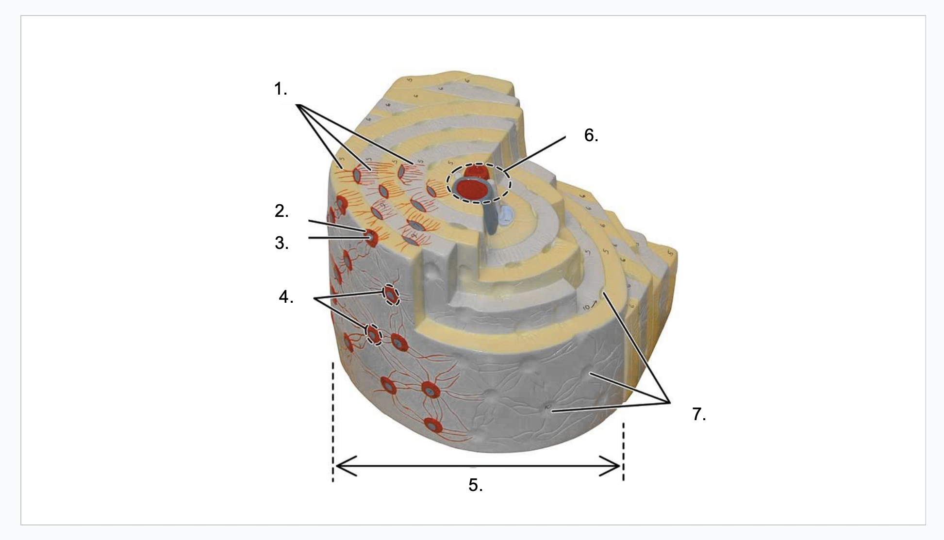<p>What is 6?</p>