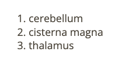 <p>b) cisterna magna</p>