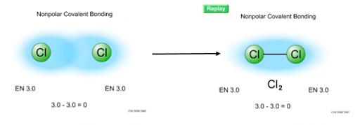 <p>Een ongelijke verdeling van elektronen in een binding of molecuul, waardoor ladingsverschillen ontstaan. (een positieve en een negatieve kant).</p><p>Dit komt door <strong>elektronegativiteit</strong> = de kracht waarmee een atoom elektronen naar zich toetrekt.</p><p>Apolair (Elektronen zijn <strong>gelijk verdeeld</strong>) and polair (1 is sterker)</p>