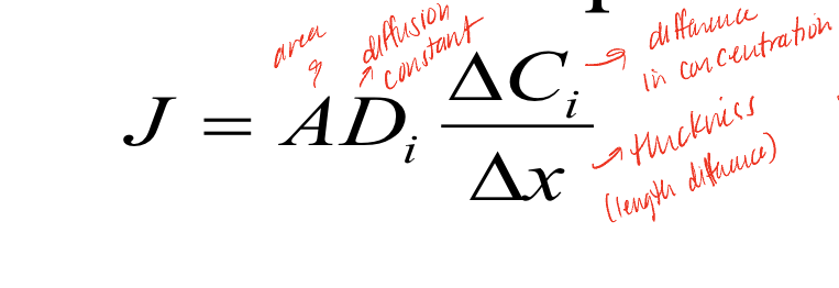 <p>J is the net flux, which is affected by the area, diffusion constant, change in concentration, and thickness of the membrane, additional factors not included in equation: temperature (higher increases J), size (lower - more diffusion), Ki (partition coefficient of solute i, higher causes more diffusion)</p>